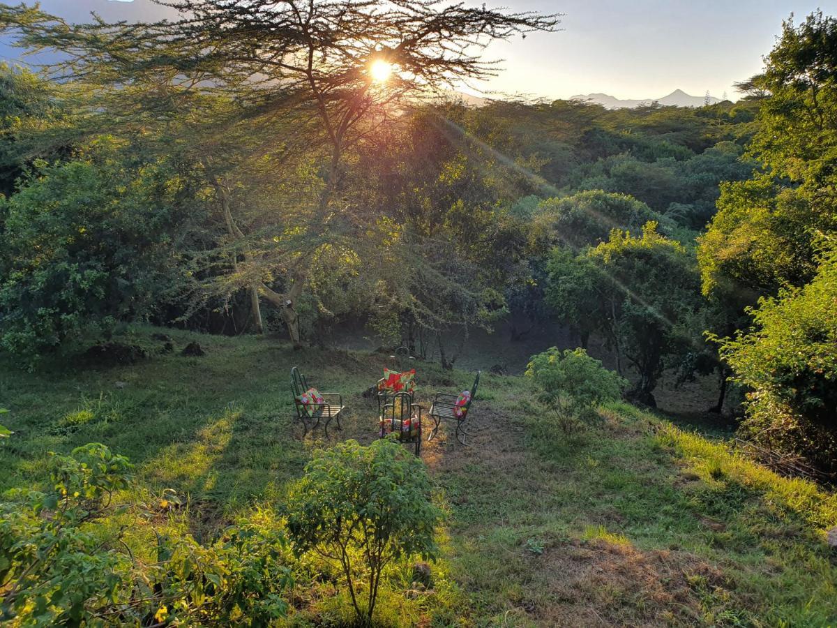 Villa Hillside Retreat - Africa Amini Life Usa River Exterior foto