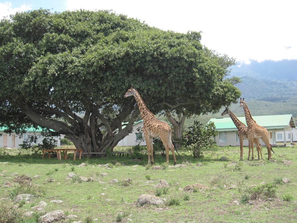 Villa Hillside Retreat - Africa Amini Life Usa River Exterior foto